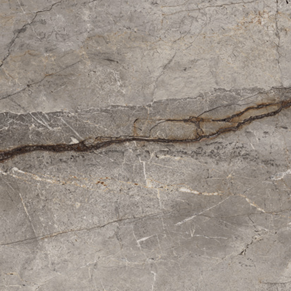 SILVER ROOT